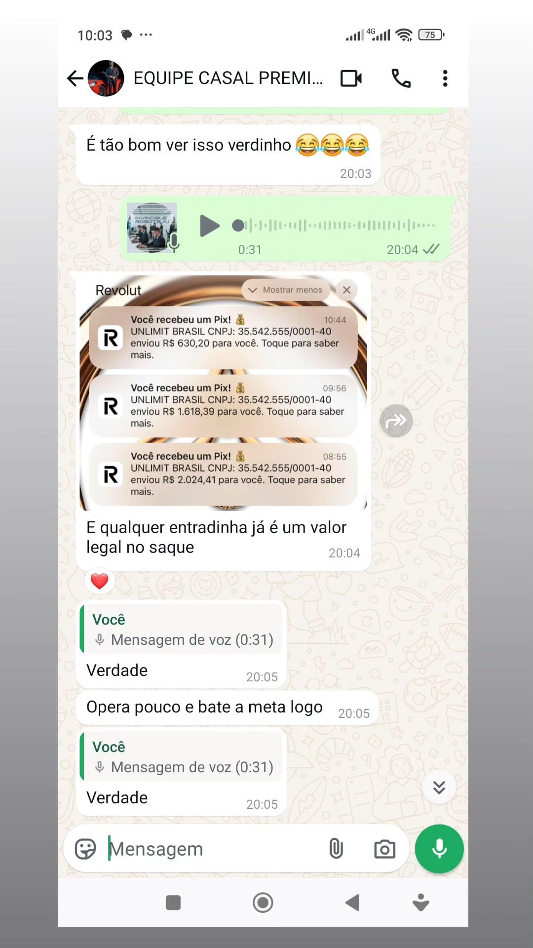 IMG_20250320_141033_084